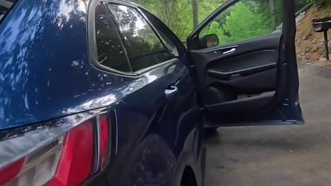 Man Calmly Coaxes Black Bear Out Of Car