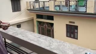 😂🤣 Grandma's Beef with Monkeys is the Funniest Thing Ever! | FunFM