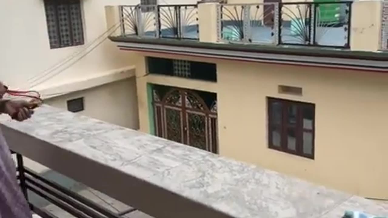 😂🤣 Grandma's Beef with Monkeys is the Funniest Thing Ever! | FunFM