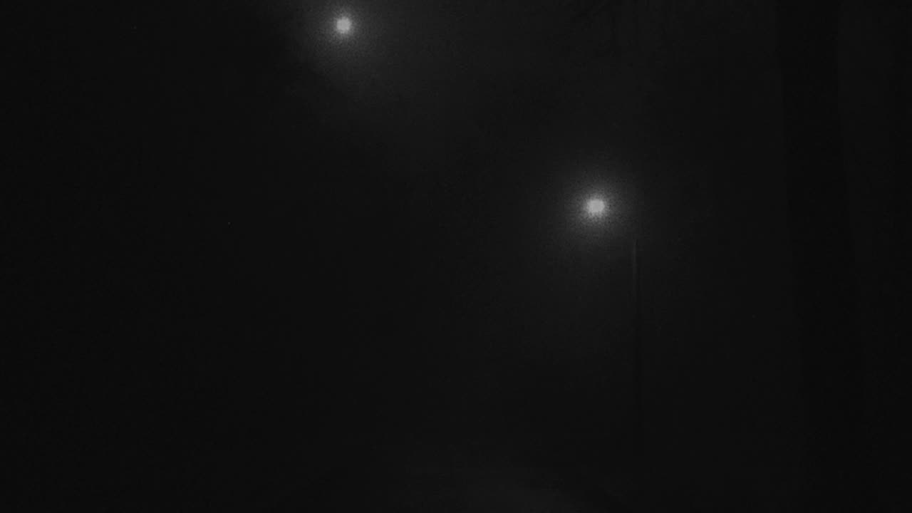 A Sanctuary for the Nocturnal