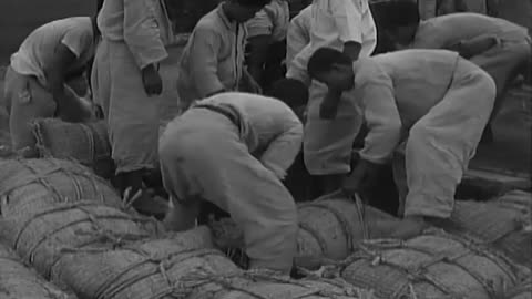 Korean War July 31, 1950–August 5, 1950