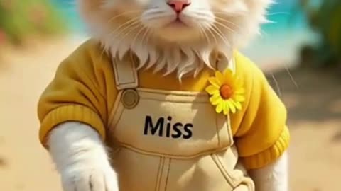 cute cat walking on beach
