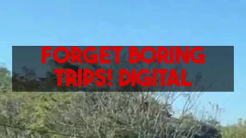 Budget Friendly Travel Games Every Digital Nomad Needs