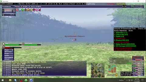 Playing Final Fantasy XI Online