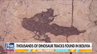 The world’s largest dinosaur track site, possibly 66 million years old, has been discovered