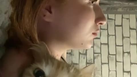 😂🐱 Cat Therapy: The Cutest Fail! | FunFM