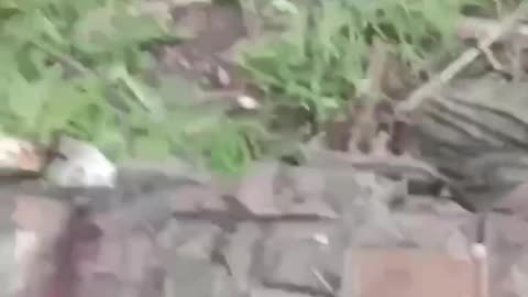 Russian Armored Column is Wiped Out