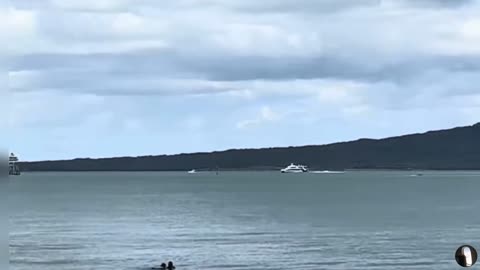 Campbells Bay Beach Auckland New Zealand Tour