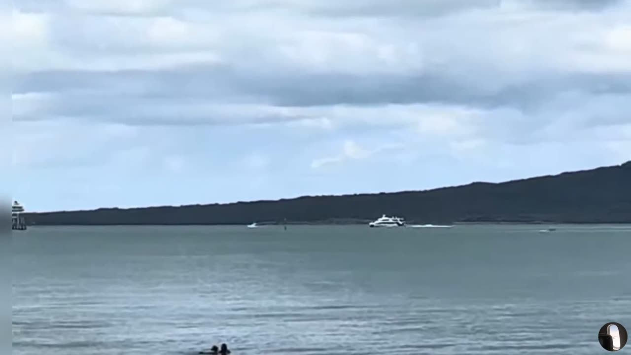 Campbells Bay Beach Auckland New Zealand Tour