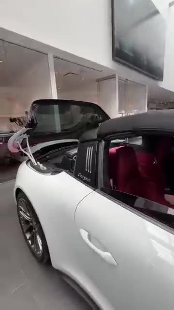 Porsche 911 Targa – Engineering Elegance in Motion 🏎️✨