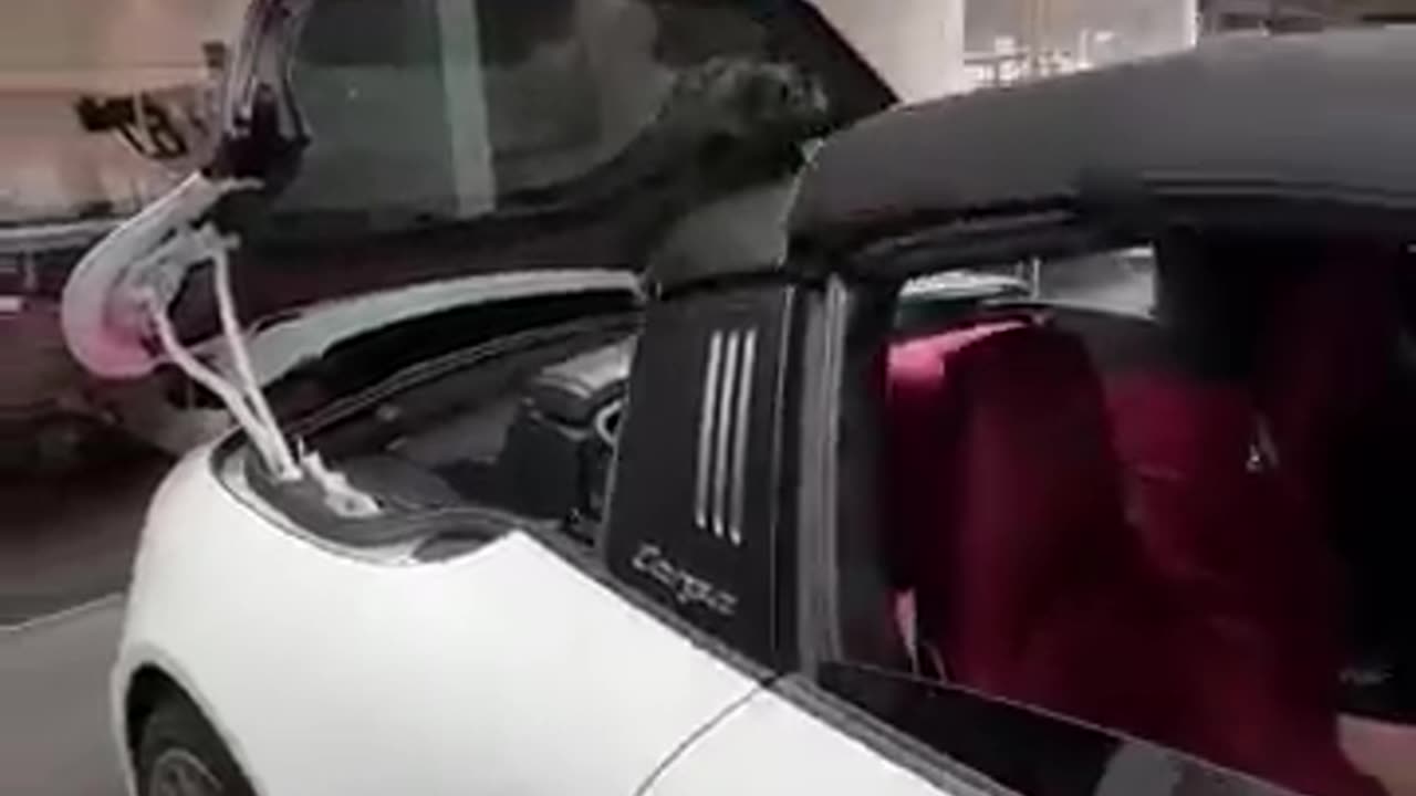 Porsche 911 Targa – Engineering Elegance in Motion 🏎️✨