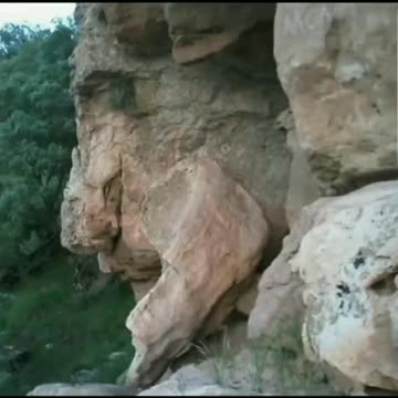 A World of petrified beings