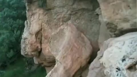 A World of petrified beings
