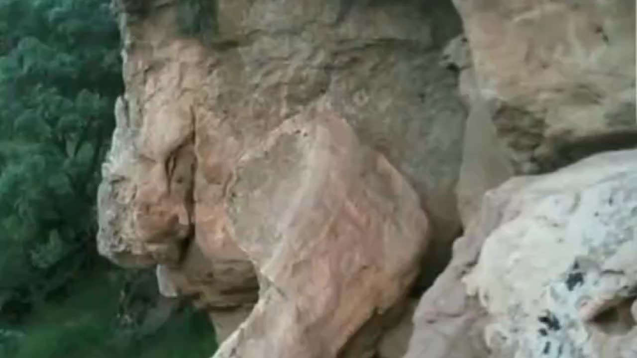 A World of petrified beings