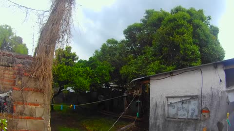 Depresión - Las nubes y sus colores, una pared y verde - Tacuarembó (11/10/2025)