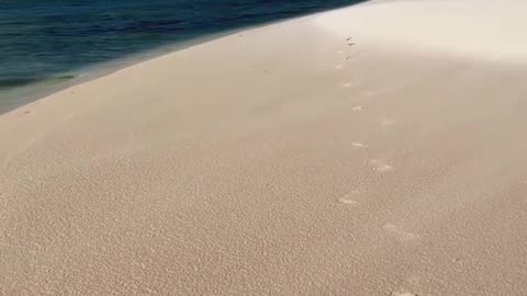 Water or sand?