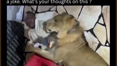 Negroes attack African migrant workers with Lion in Libya, Africa