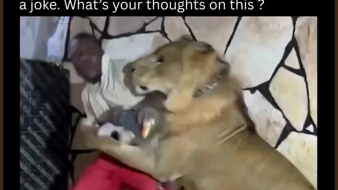 Negroes attack African migrant workers with Lion in Libya, Africa