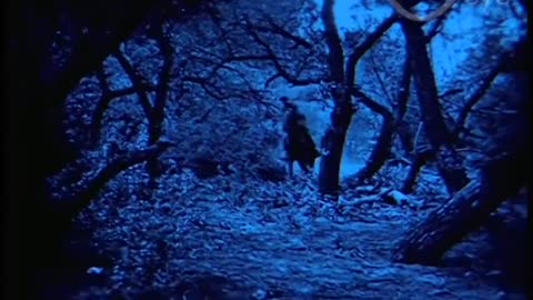 BLUE WING'S REVENGE (Universal-1924) (fragment) NEW English subtitles.