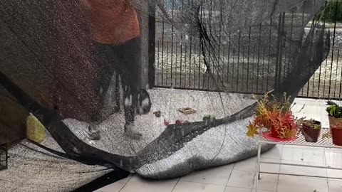 Never-Before-Seen Hailstorm Pummels Chivilcoy