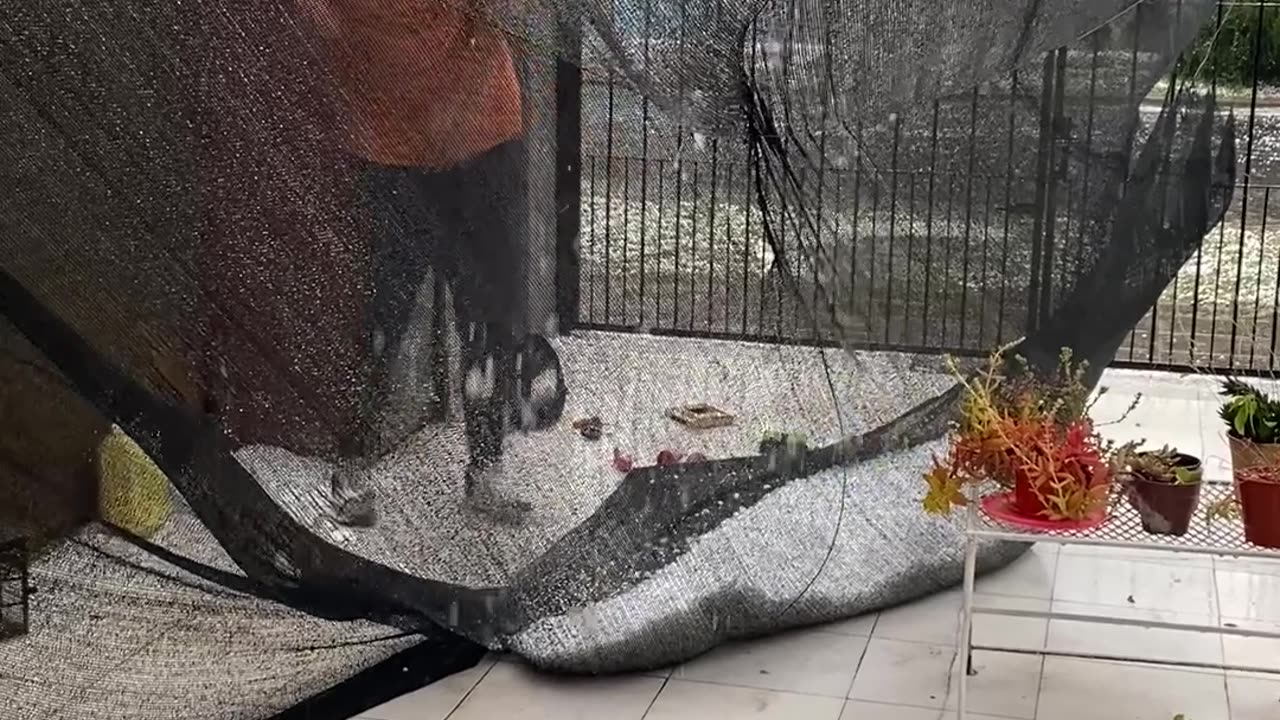 Never-Before-Seen Hailstorm Pummels Chivilcoy