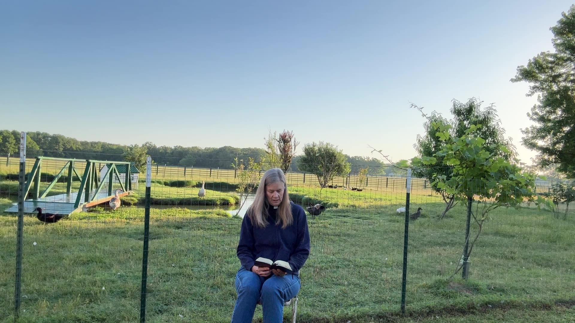 Morning Prayer, Daily Office