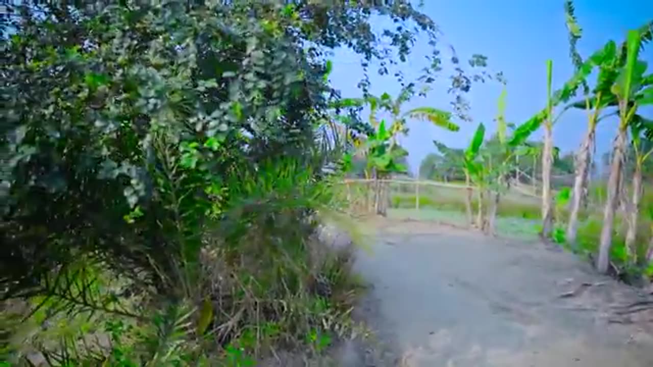 Funny video