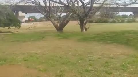 TREN DE ARAGUA HISTORIA.