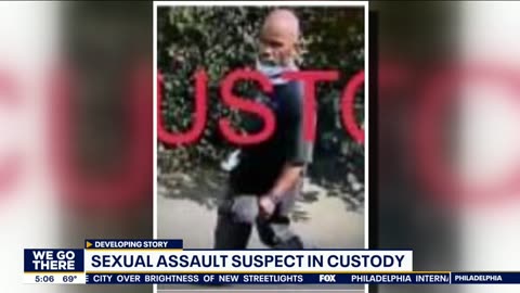 Center City sexual assault black suspect in custody