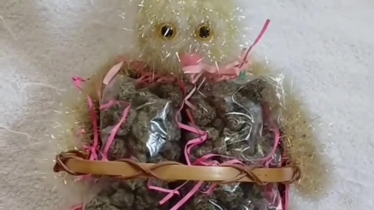 420 Easter In Cleveland Ohio