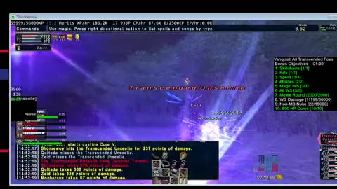 Playing Final Fantasy XI Online