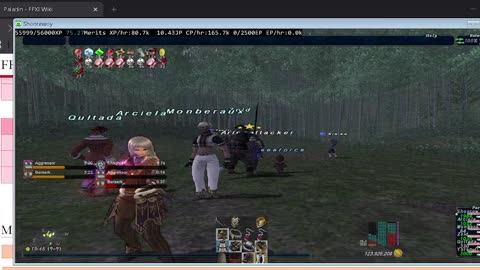 Playing Final Fantasy XI Online