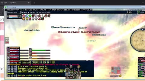 Playing Final Fantasy XI Online