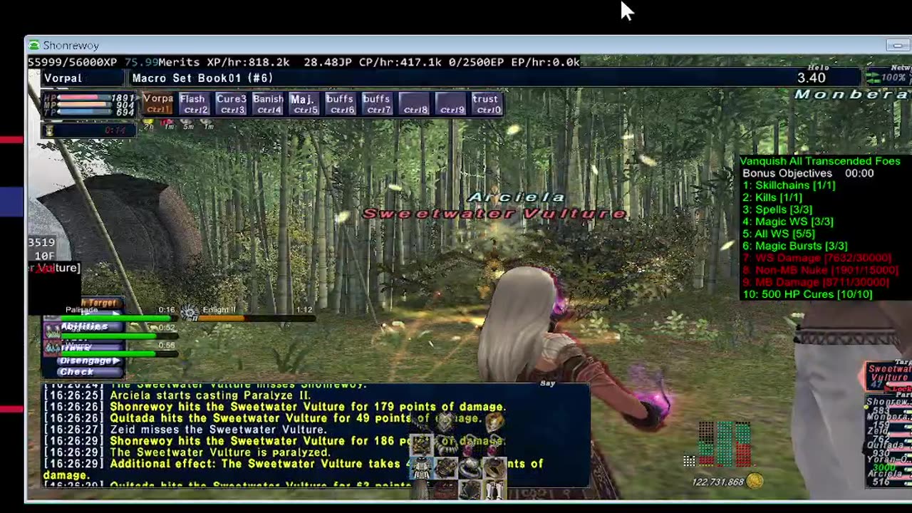 Playing Final Fantasy XI Online