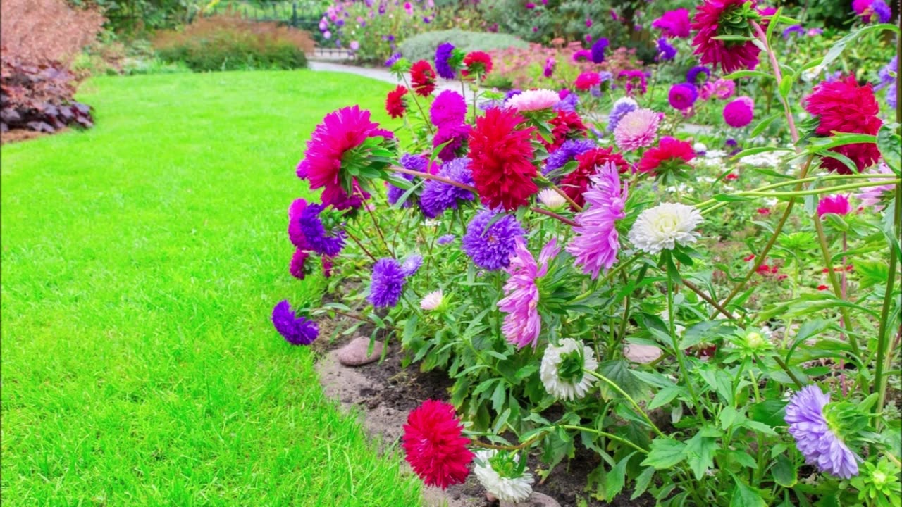 Year Round Landscaping and Maintenance