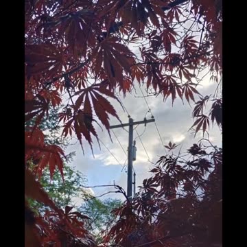 Photos I took this year!★:3