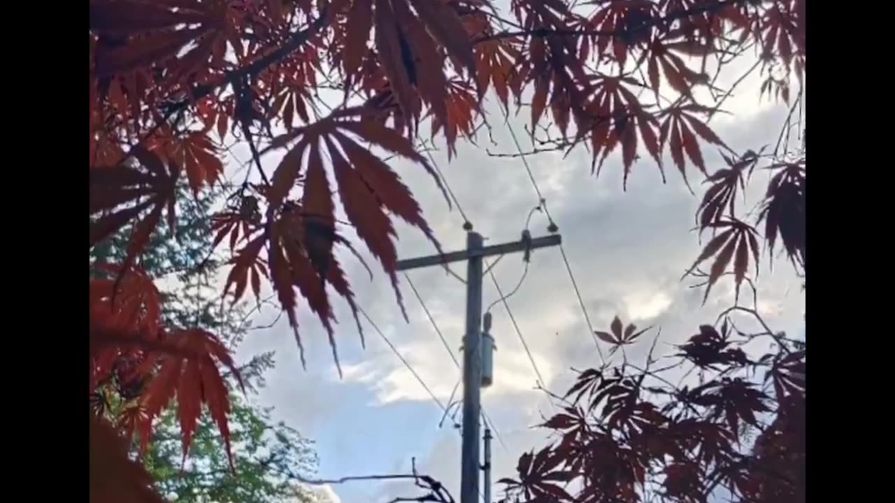 Photos I took this year!★:3