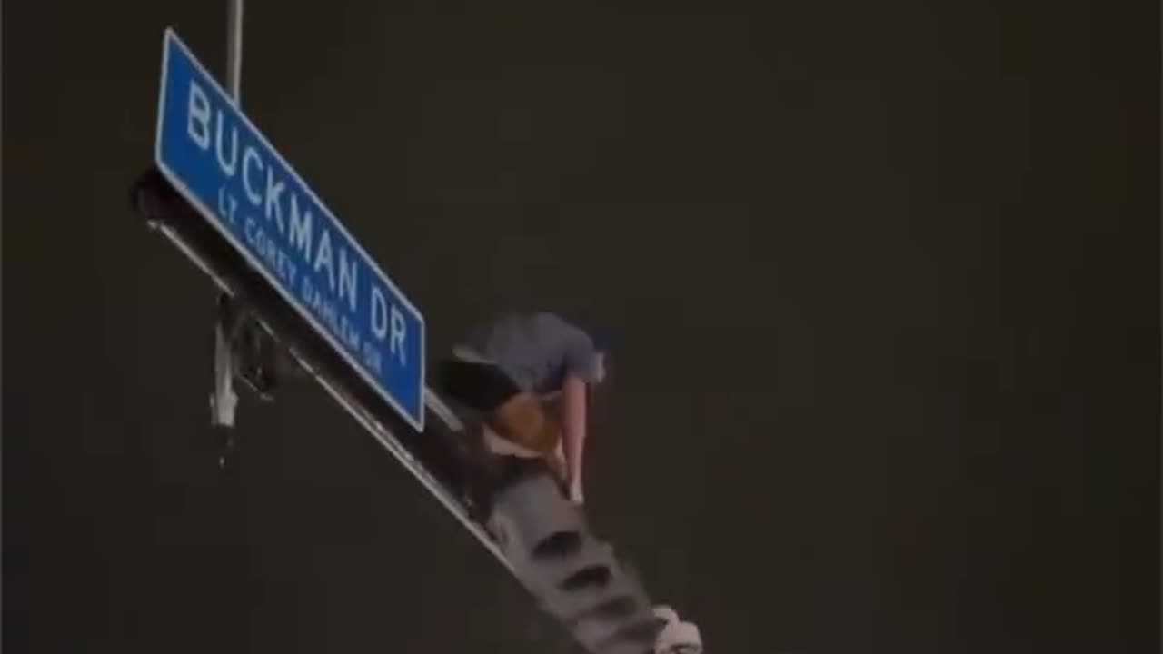 A University of Florida Gators fan fell from the top of a traffic light pole