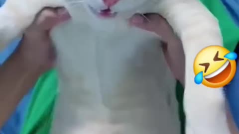 Funny anime video 🤣