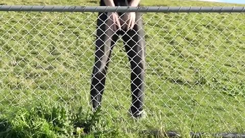 How different animals get over fence