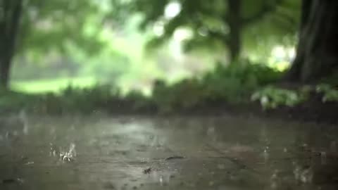 Rain and thunder