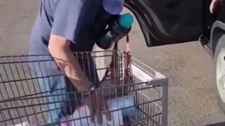 😂🚓 How NOT to Hide from the Cops! | FunFM