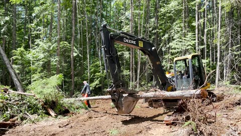 Land Clearing... Building our Off Grid Homestead