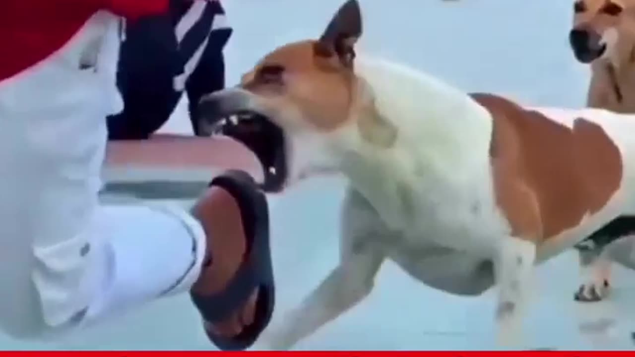 😂🤯 You Won't Believe This Satisfaction Level! | FunFM