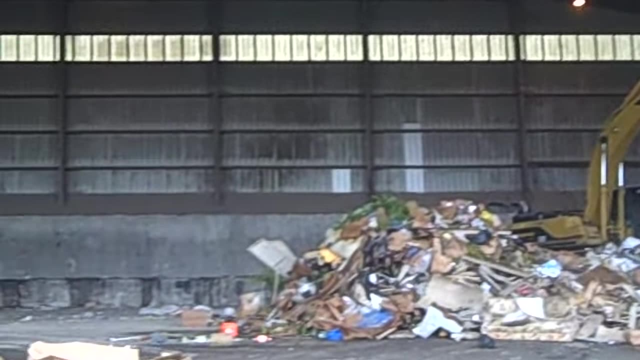 HANGING OUT AT THE CITY DUMP, SHEA SHOW