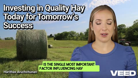 Bale to the Future: Investing in Quality Hay Today for Tomorrow’s Success