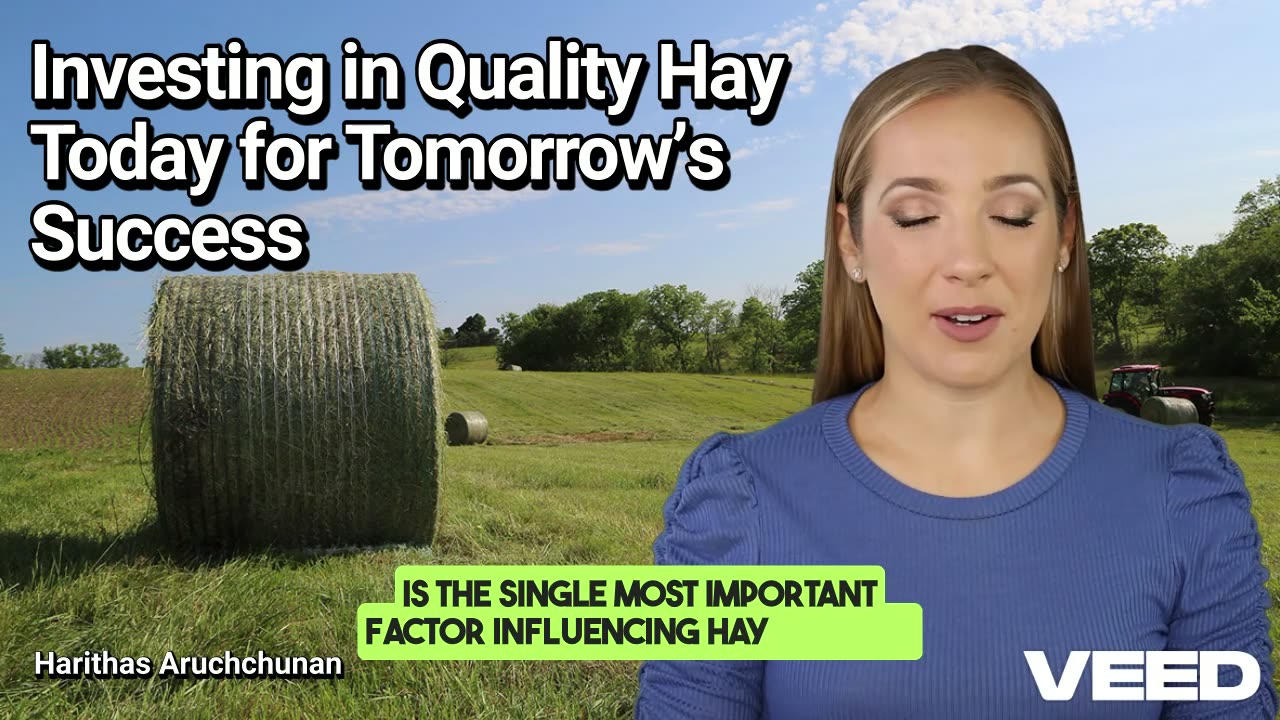 Bale to the Future: Investing in Quality Hay Today for Tomorrow’s Success