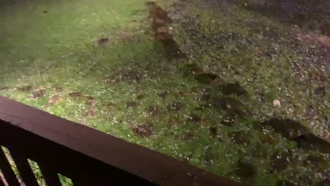 NW NC at The Treehouse 🌳 4am 69° and raining. The hail only lasted a few minutes. Today’s high 77°
