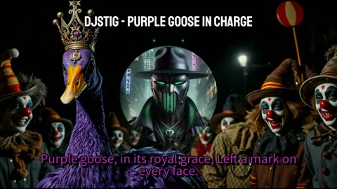 DjStiG - Purple Goose in charge