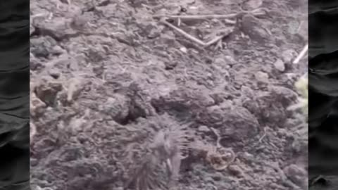 👻😨 Terrifying Paranormal Moments That Will Leave You Breathless! | TheHauntingHour